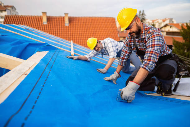 Best Chimney Flashing Repair  in South Charleston, WV